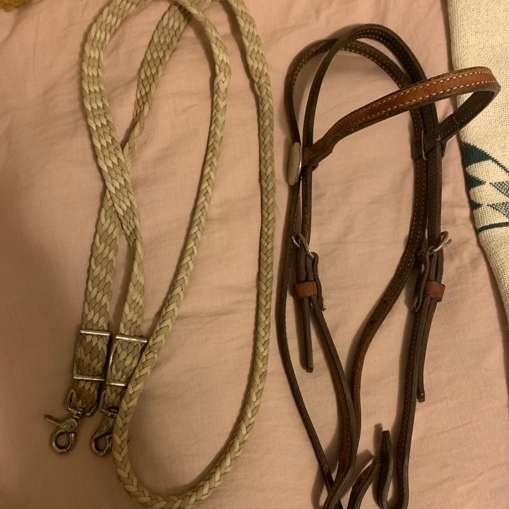 Barely Worn Bridle and Reins